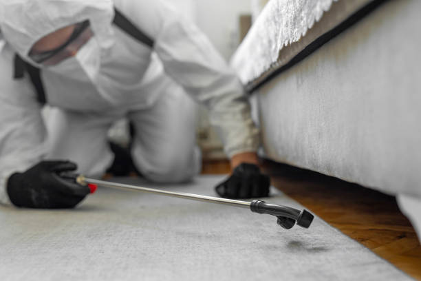 Professional Pest Control technician working in Hancock County County, IL